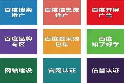 某公司通过竞价SEM优化搜索引擎排名案例